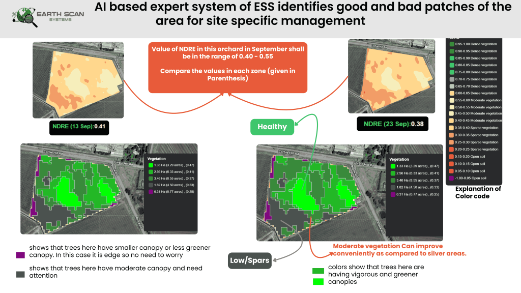 NDVI Sample 2