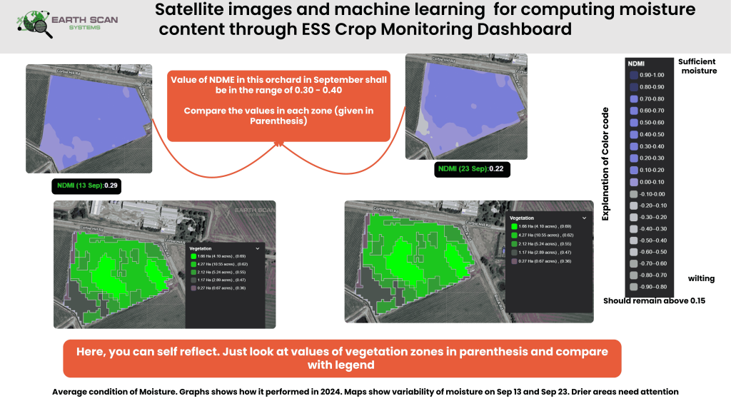 NDVI Sample 1
