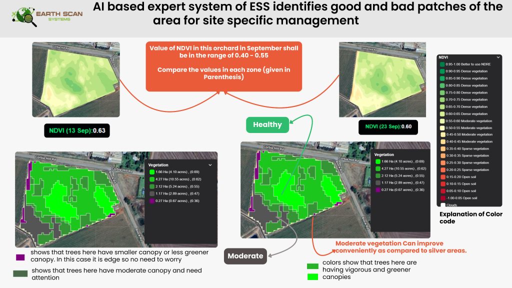 NDVI Seasonal Image Grid